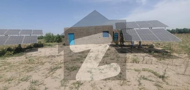 خوشاب روڈ سرگودھا میں 80 کنال زرعی زمین 1.6 کروڑ میں برائے فروخت۔