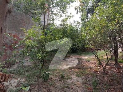 Double Sided Entry , Street 30