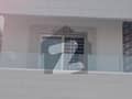 4 4