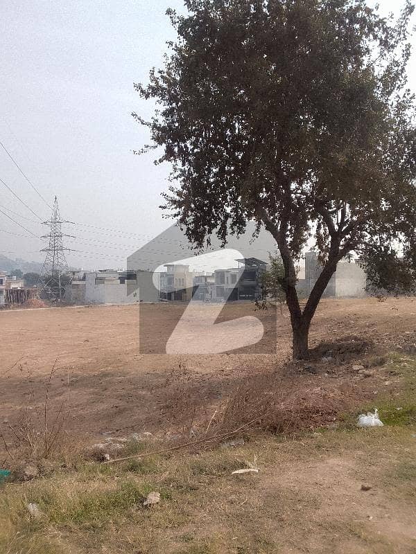 2 Marla Plot Available For Sale 2 Marla Plot Available For Sale