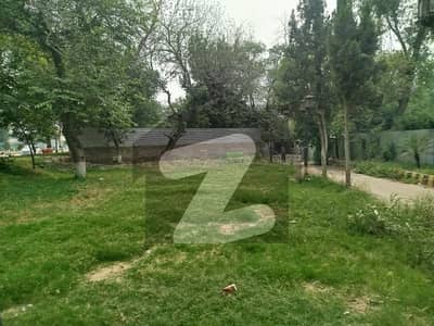 Get A Prime Location 124 Marla Commercial Plot For sale In Mall Road