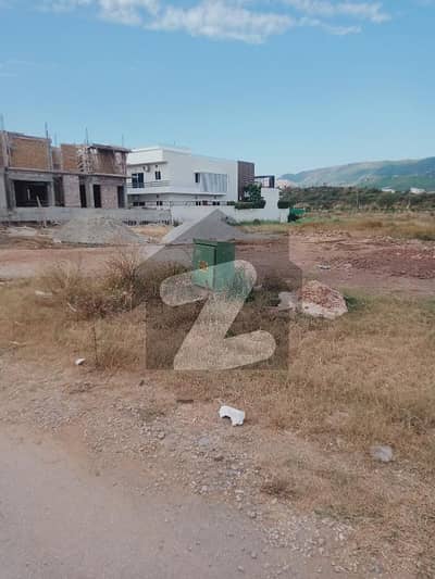 D12/2 600syd Corner Plot For Sale