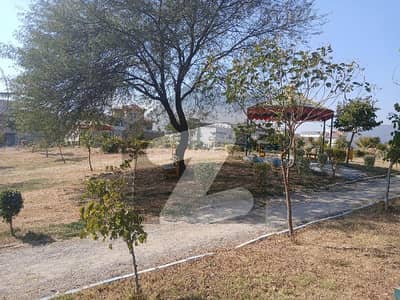 D-12/1 40*80 level Plot ideal location For Sale