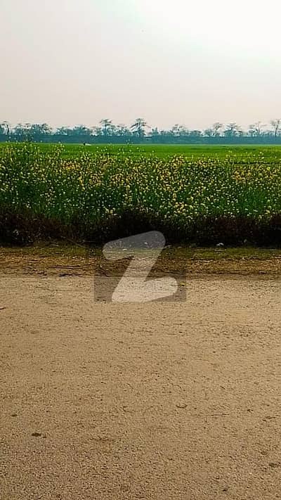 برکی روڈ کینٹ,لاہور میں 8 کنال زرعی زمین 1.3 کروڑ میں برائے فروخت۔