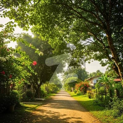 1 Kanal Farmhouse Plots For Sale Electricity Available & Surrounded By Luxury Farmhouses