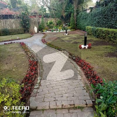 3 Bedroom Furnished House Available In F6/3 For Rent
