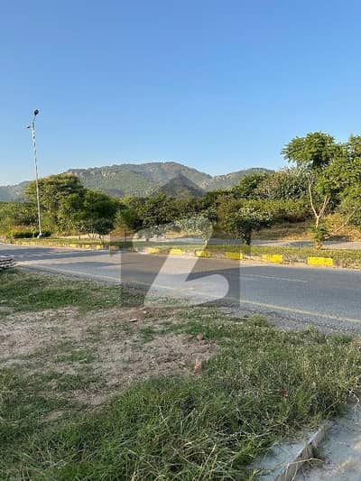 Residential plot available for sale in D12/1 on investor rate