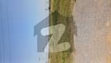 4 4