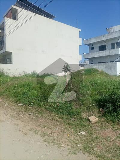 Main road back plot