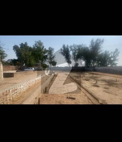 4 kanal dairy farm for rent