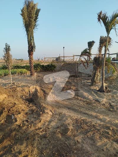Plot Available For Sale Radio Pakistan Co Operative Housing Sectar 49a  240 Sqyd Near Main Entrance