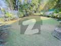 2 2