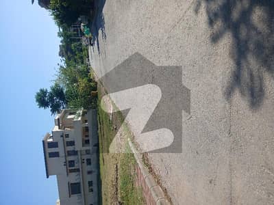 10 Marla Top Heighted Solid Land Plot For Sale