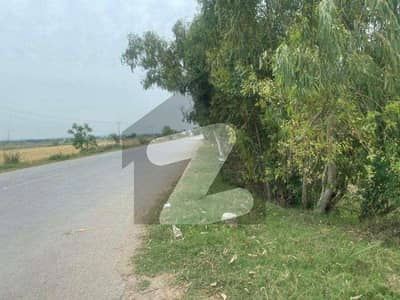 14 Marla Premium Commercial Plot In Paradise Commercial Main Location Investment