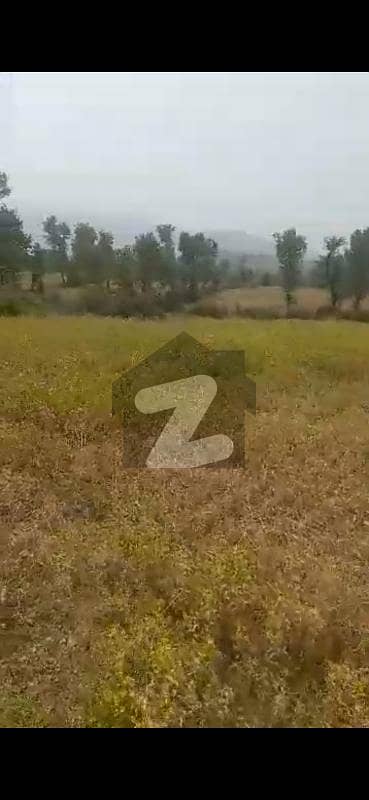 200 Kanal Commercial Land for Sale