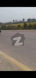 7 7
