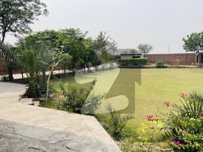 LUXURY FARMHOUSE 4.5 Kanals First Owner Only With Beautiful Swimming Pool And Greenery Every Where Beautiful Flowers And Plants Other Rooms Available In Farm And Roof Top Also Including Room With Hut