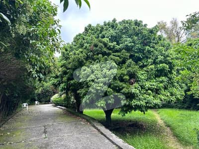 G-14/4 Three Side CORNER Plot WITH EXTRA LAND PLOT Pindi Face Size 60 X 100 = 666 Yards Prime Location Best Investment For Construction House Elite Class Location For Living Plot Hot CASH PAYMENT FOR SALE Very Reasonable Price