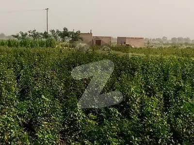 20 Acre (160 Kanals) Agriculture Land Is Available For Sale In Fort Abbas Bahawalnagar