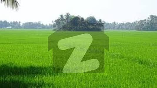 فیروزپور روڈ قصور میں 800 کنال زرعی زمین 32.0 کروڑ میں برائے فروخت۔