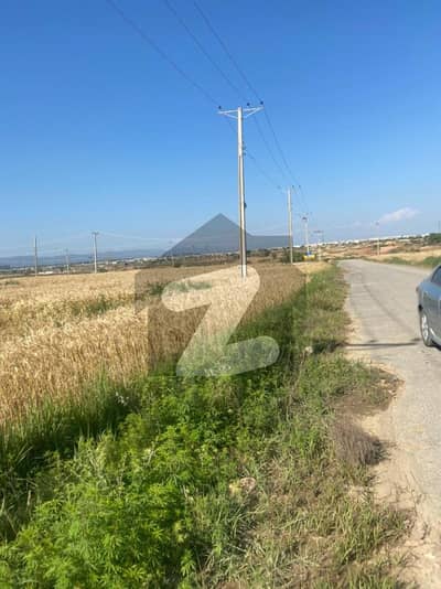 5 Marla Plot For Sale In I-16