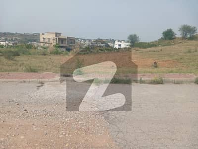 Kanal Plot For Sale With 30 Feet Green Belt