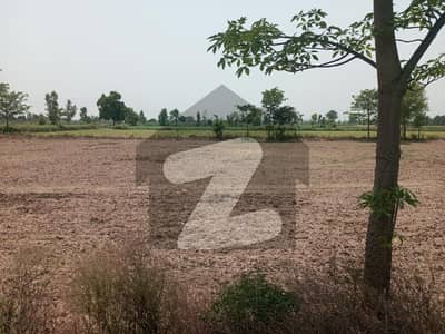 ملتان روڈ لاہور میں 16 کنال زرعی زمین 4.0 کروڑ میں برائے فروخت۔
