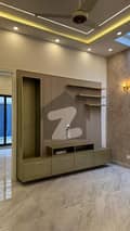 23 