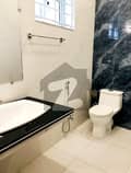 5 5