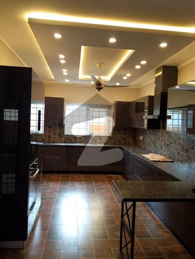 double unit full house for rent