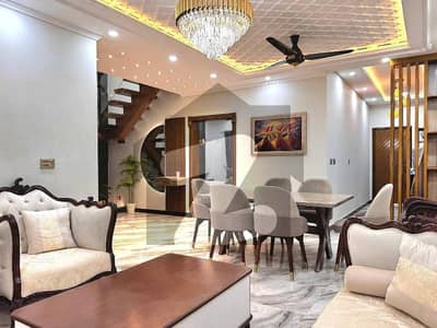 Brand New 1st Floor Available for Rent _i_11_2