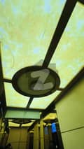 7 7