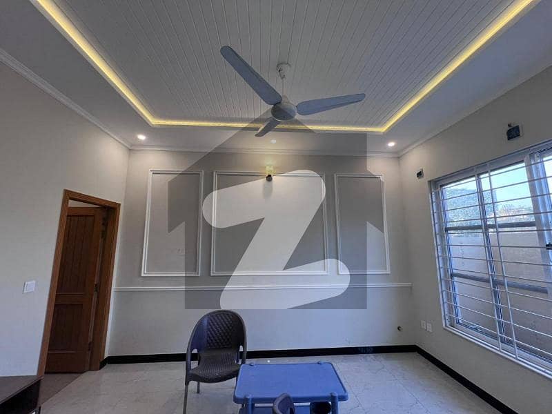 24 
