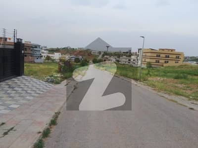 Level Near Mosque And Back Of Double Road