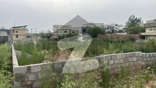 20 Marla plot for sale