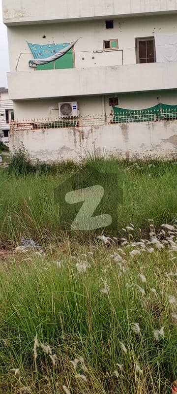 Main Boulevard 7 Marla for sale
