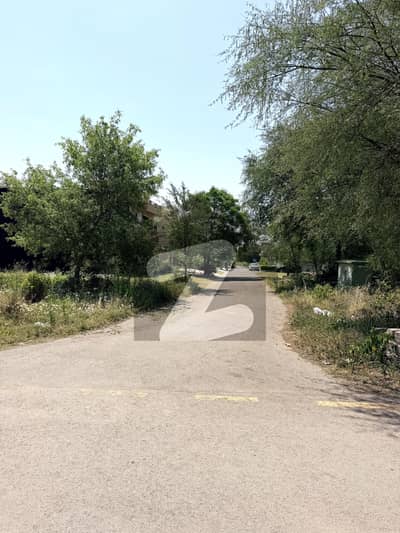 40x80 PLOT FOR SALE NEAR MARKAZ
