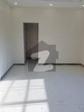 7 7