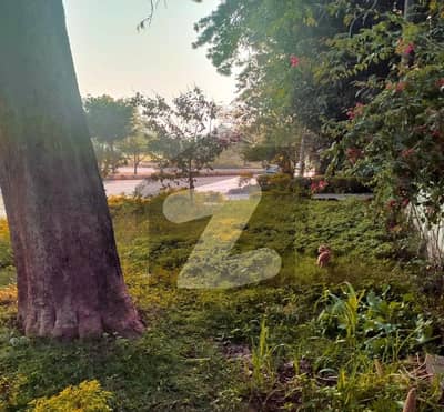 Investor Price Corner House in G-6 Islamabad