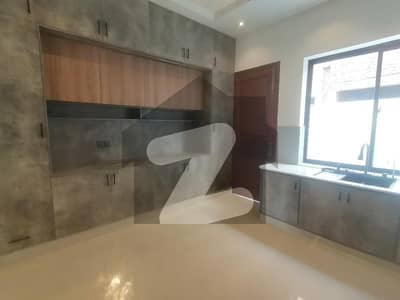 Prime Location In Wapda Town Phase 1 10 Marla Lower Portion For rent