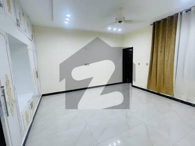 Luxury Renovated House Available For Rent