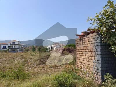 Residential Plot Available For sale In D-12