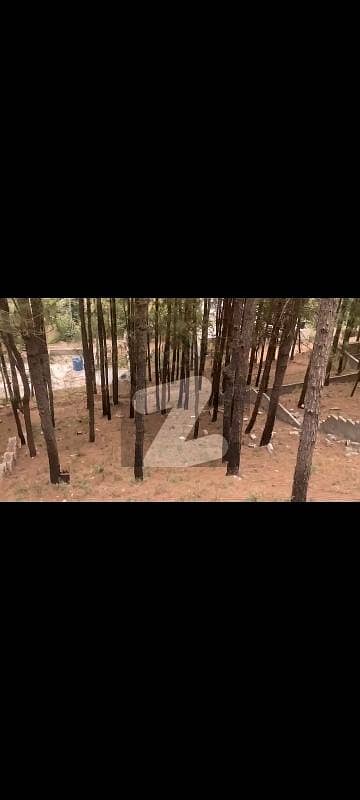 1 Kanaal Plot with Beautiful View