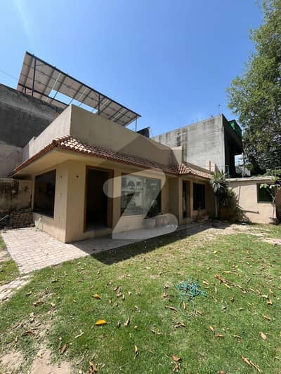 12-Marla Single Storey House Available For Rent