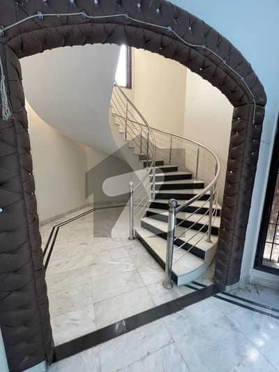 Premium Banglow For Rent  500 Yard's