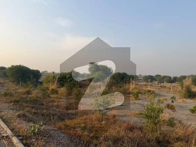 1,000 Kanal Total Compact Land Thallian Interchange Rawalpindi Agricultural Land For Sale