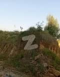 7 7