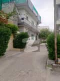1 1