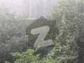 1 1