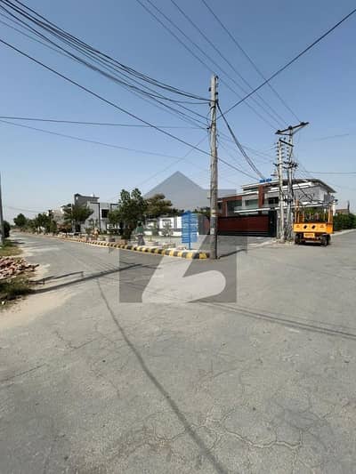 10 Marla , Fatima avenue (MPS road )